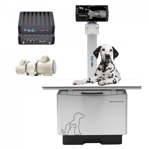 IN-32KW-P Portable Veterinary Digital X-ray Flat Table System for Clinics