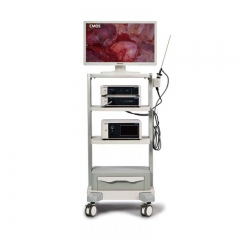 Mindray Vetina CS3 Veterinary Diagnostic Ultrasound Machine Reliable Imaging System for Animal Healthcare