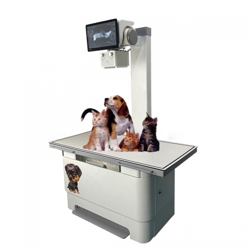 IN-VDR320A10 Double Column High Frequency X-Ray Inspection Scanner Digital Safe X-Ray Machine for Doctor's Diagnosis