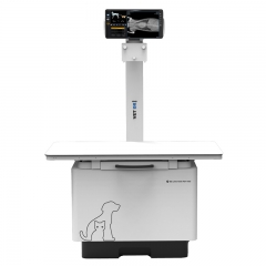 IN-32KW-P Flat Panel X Ray Digital Wireless Veterinary X-ray Dr Xray Machine