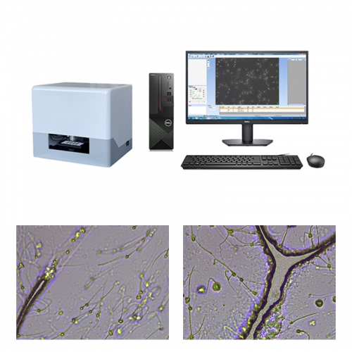 IN-QB200C1 Intelligent Sperm Analyzer for Animal Use with Digital Imaging and Laboratory Data Management