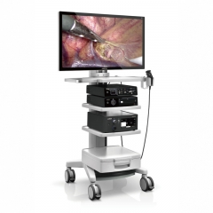 Mindray Vetina CS7 Veterinary Diagnostic Ultrasound Machine Reliable Imaging System for Animal Healthcare