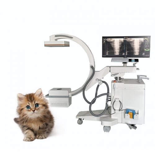 IN-5KW-P Mobile Veterinary C Arm X Ray System With 5 kW Generator