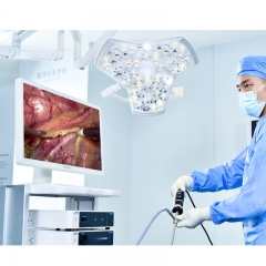 Mindray Vetina CS3 Veterinary Diagnostic Ultrasound Machine Reliable Imaging System for Animal Healthcare