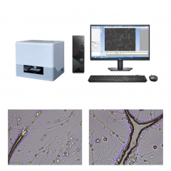 IN-QB200C1 Veterinary Sperm Analysis System with WHO Standard Based Parameters and Reliable Results