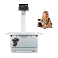 IN-VDR320A10 X-ray Machine Veterinary Digital X-ray Machine for Dog Bird Veterinary Equipment