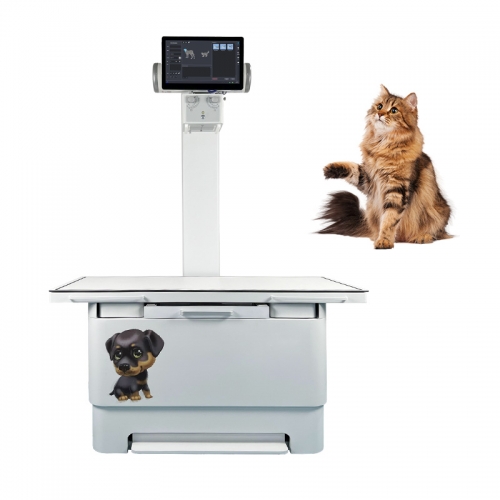 IN-VDR320A10 X-ray Machine Veterinary Digital X-ray Machine for Dog Bird Veterinary Equipment