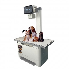IN-VDR320A10 X-ray Machine Veterinary Digital X-ray Machine for Dog Bird Veterinary Equipment
