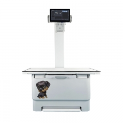 IN-VDR320A10 X-ray Machine Veterinary Digital X-ray Machine for Dog Bird Veterinary Equipment