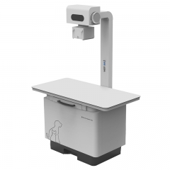 IN-32KW-P Dr X-ray Digital Vet Radiography X-ray Veterinary-Digital-Radiography-Systems