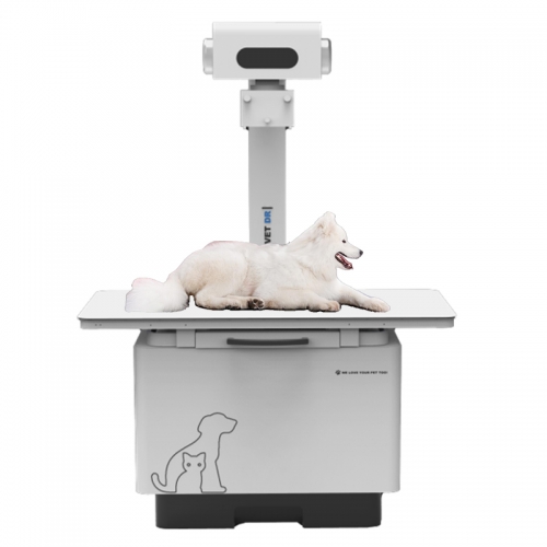IN-32KW-P Dr X-ray Digital Vet Radiography X-ray Veterinary-Digital-Radiography-Systems