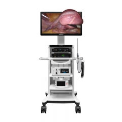 Mindray UX5 Series 4K NIR Endoscope Camera System with 3D Imaging and Fluorescence-Guided Surgery Support