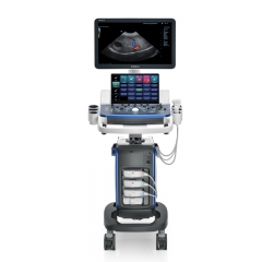 Mindray Vetus 5 Veterinary Ultrasound System with High-Resolution Imaging and Efficient Diagnostic Tools