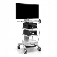 Mindray Vetina CS7 Veterinary Ultrasound System Advanced Imaging Solution for Animal Clinics and Hospitals