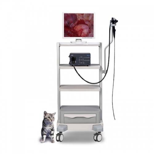 Mindray Vetina ES3 Veterinary Ultrasound System Portable Imaging Solution for Animal Clinics and Hospitals