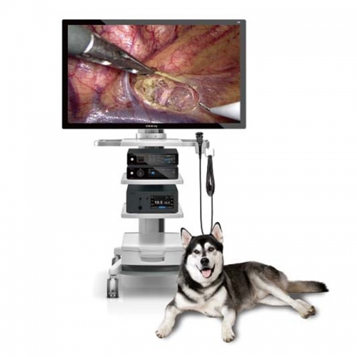 Mindray Vetina CS7 Veterinary Ultrasound System Advanced Imaging Solution for Animal Clinics and Hospitals