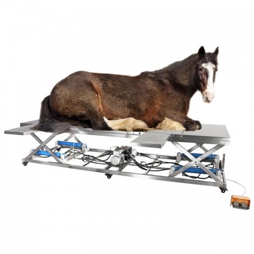 IN-P005 Hydraulic Vet Surgery Table 1500kg Heavy Duty Electrical Lift Foot Pedal Control Stainless Steel Tray Wheels