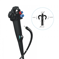 IN-DG Flexible Video Endoscope Machine for Gastroscopy and Colonoscopy Competitive Price