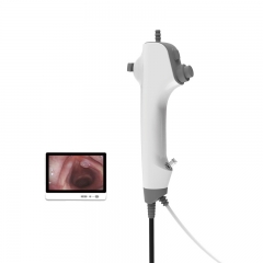 IN-DDFR Portable Disposable Flexible Video ENT Endoscope with HD Camera for Intubation and Laryngoscopy