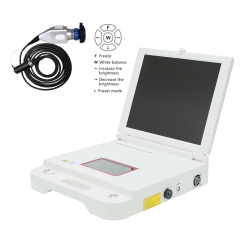 IN-GW605 17 Inch Full HD Medical Endoscope Camera Manufacturer Portable ENT Endoscope Laparoscopy Camera