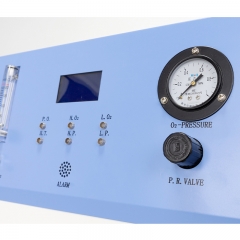 IN-10.4.0 Oxygen Generator 2 in 1 Design Home Use Medical Oxygen Concentrator Atomization Function
