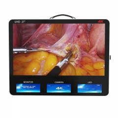 IN-GW627 Endoscopy Manufacturer Medical Fhd Endoscopic System with 27 Inch Monitor and Recording