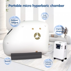 IN-10FW High Purity Portable Medical Household Oxygen Concentrator