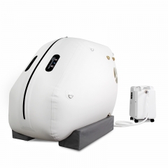 IN-10FW High Purity Portable Medical Household Oxygen Concentrator