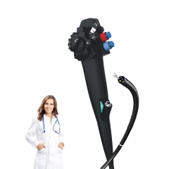 IN-DG High Quality Hospital Medical Portable Video Gastroscope and Colonoscope Endoscope Camera System