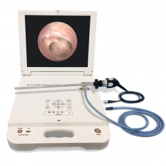 IN-GW612 Portable 17 Inch All-in-one Multifunctional Full HD Endoscope Camera System ENT Orthopedics HD Endoscope Camera With Monitor