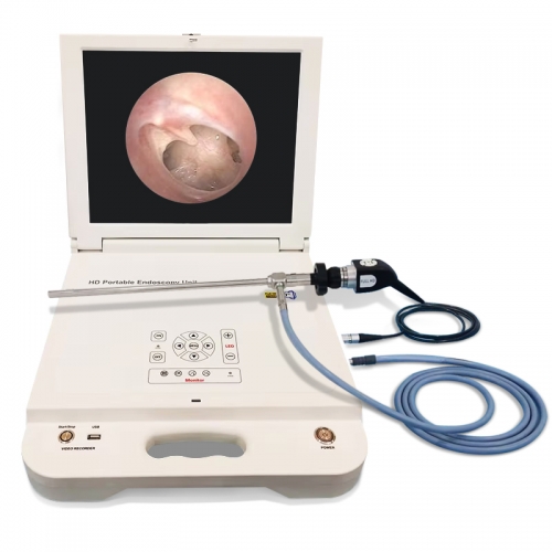 IN-GW612 Portable 17 Inch All-in-one Multifunctional Full HD Endoscope Camera System ENT Orthopedics HD Endoscope Camera With Monitor