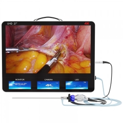 IN-GW627 Endoscopy Manufacturer Medical Fhd Endoscopic System with 27 Inch Monitor and Recording