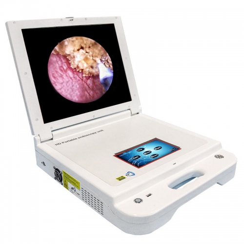 IN-GW605 17 Inch Full HD Medical Endoscope Camera Manufacturer Portable ENT Endoscope Laparoscopy Camera