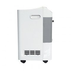 IN-10L Electric Plug-In Home Oxygen Concentrator with Intelligent Alarm System