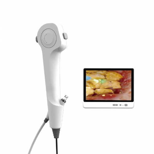 IN-DDFU Flexible Single Use Ureteroscope Medical Video Urology Endoscope Disposable
