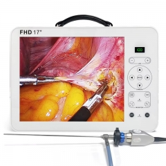 IN-GW617 Portable Endoscopy System Price All-in-One Endoscope Camera Portable Endoscope Camera for Sale