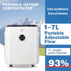 IN-B1 Oxygen Concentrator Machine 10L Oxygen Concentrator for Oxygen Therapy