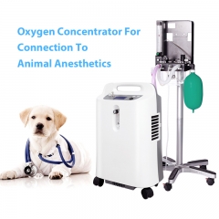 IN-5DW vet Portable Oxygen Concentrator Adjust Flow Electric Rechargeable Medical Portable Oxygen Concentrator for Healthcare