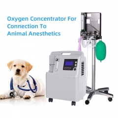IN-5AW vet Oxygen Chamber for Pets Small Veterinary Oxygen Concentrator Reusable Oxygen Concentrator for Vets
