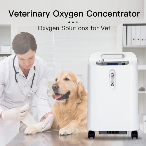 IN-5DW vet High Quality Portable Oxygen Concentrator Mobile Oxygen Concentrator for Home Use