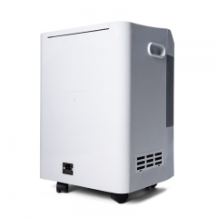 IN-10LS Medical Household Portable Double Flow Oxygen Concentrator with 10L Bottle