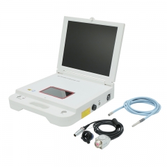 IN-GW605 17 Inch Full HD Medical Endoscope Camera Manufacturer Portable ENT Endoscope Laparoscopy Camera