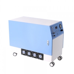 IN-10.4.0 Oxygen Generator 2 in 1 Design Home Use Medical Oxygen Concentrator Atomization Function