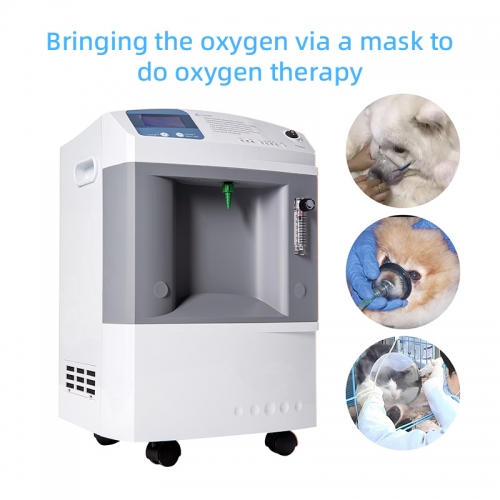 IN-10L Vet Portable Medical Hospital Use Veterinary Equipment 10 Liter Oxygen Concentrator
