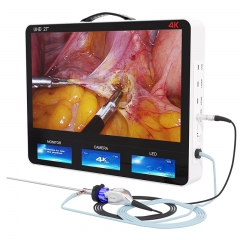 IN-GW627 4K HD Medical Endoscopy Recorder Medical Endoscopy System for Surgery