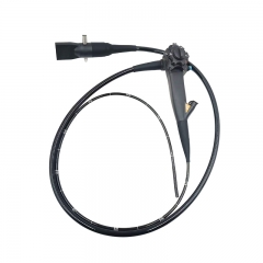 IN-DG Flexible Video Endoscope Machine for Gastroscopy and Colonoscopy Competitive Price