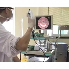 IN-DDFR Portable Disposable Flexible Video ENT Endoscope with HD Camera for Intubation and Laryngoscopy