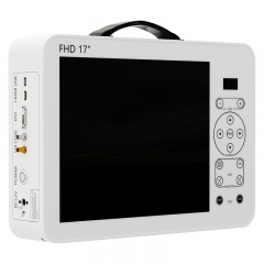 IN-GW617 Portable Endoscope Camera with Monitor 17 Inch Ear Nose Throat Ent Endoscope Camera