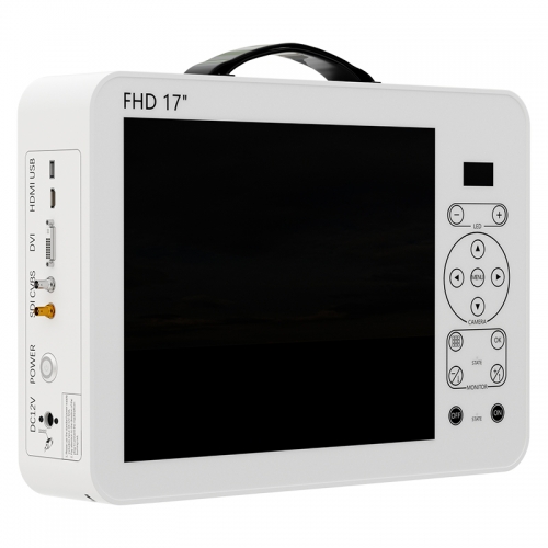 IN-GW617 Portable Endoscope Camera with Monitor 17 Inch Ear Nose Throat Ent Endoscope Camera