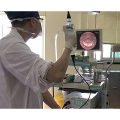 IN-RDFR Reusable Flexible Rhinolaryngoscope ENT Endoscope for Diagnostic Use Portable Nasopharyngoscope